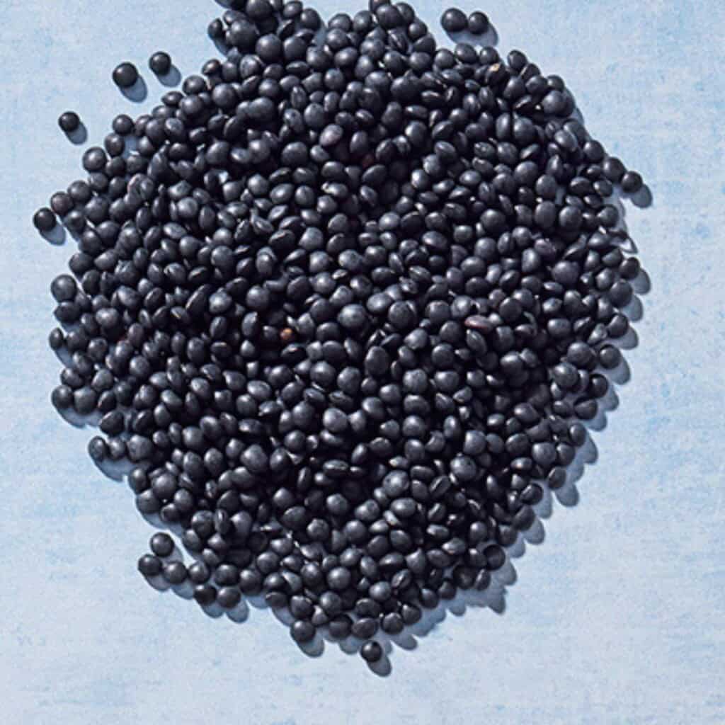 Close up of black lentils.