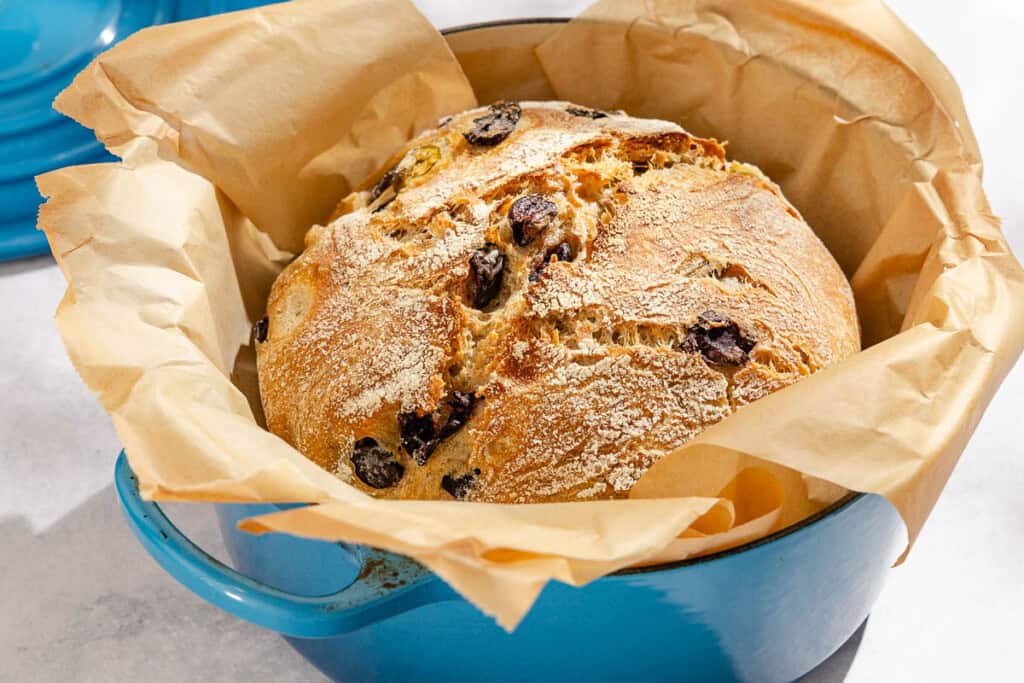 A close up of a baked loaf of olive bread in a parchment lined dutch oven.