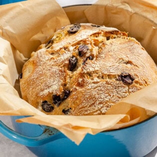 A close up of a baked loaf of olive bread in a parchment lined dutch oven.