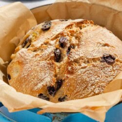 A close up of a baked loaf of olive bread in a parchment lined dutch oven.