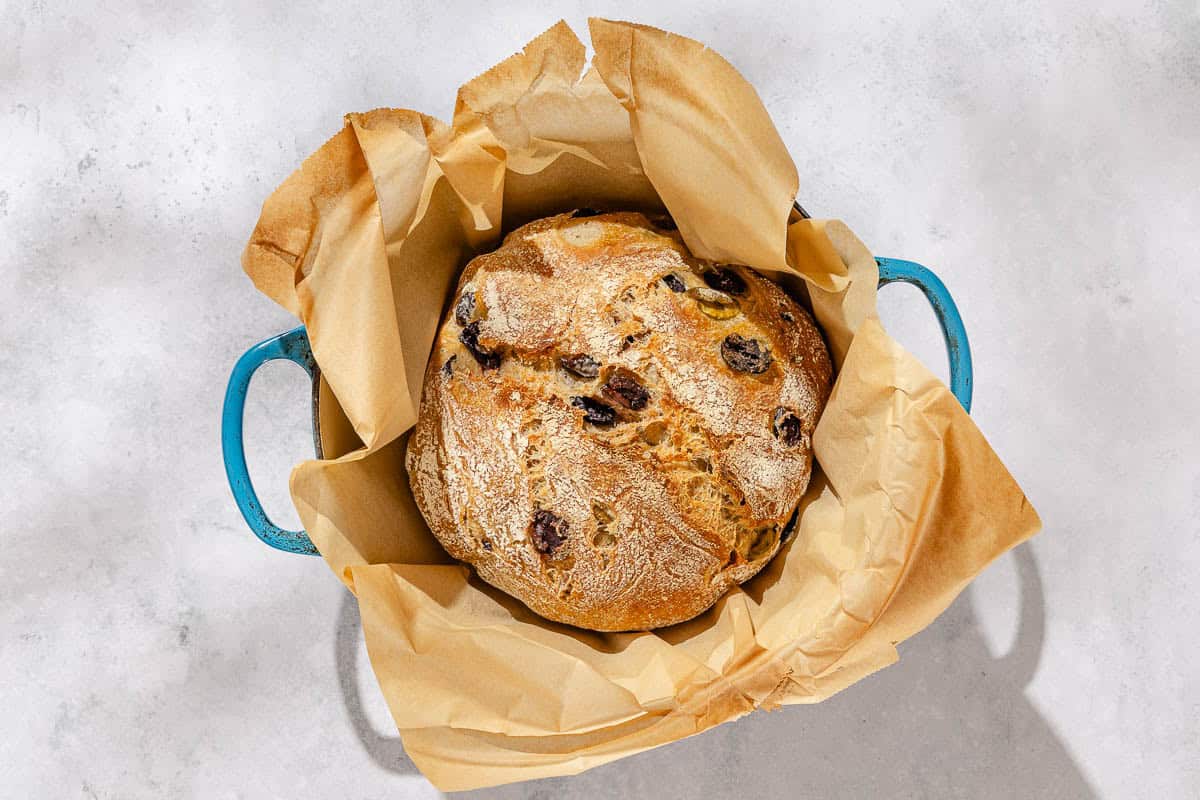 An overhead photo of a baked loaf of olive bread in a parchment lined dutch oven.