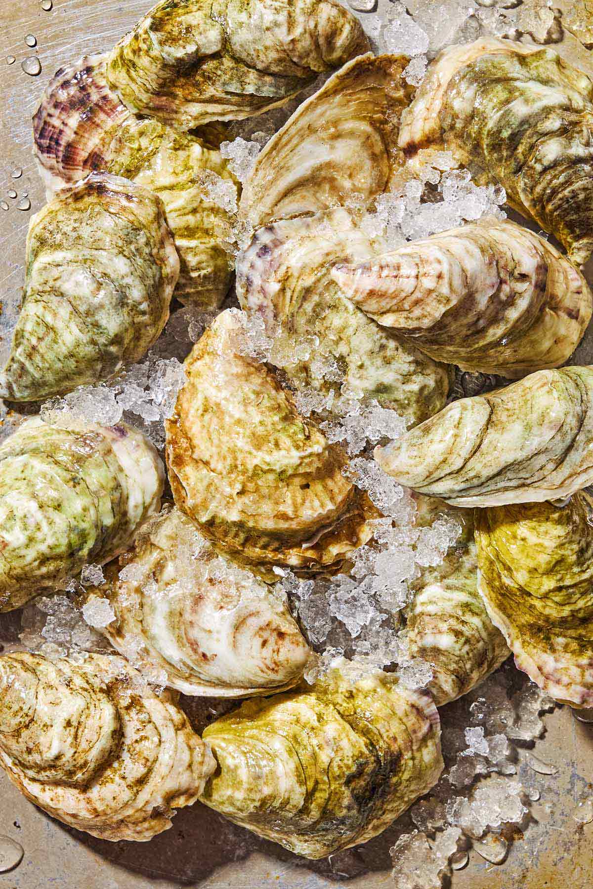 Several un-shucked raw oysters on a bed of ice.