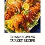 Pin image 3 for the Mediterranean Dish Thanksgiving turkey recipe.