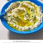 Vegan tzatziki pin image 1.