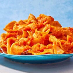 Pasta tossed with lentil bolognese on a plate.